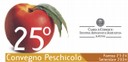 Peschicolo2004_logo.jpg